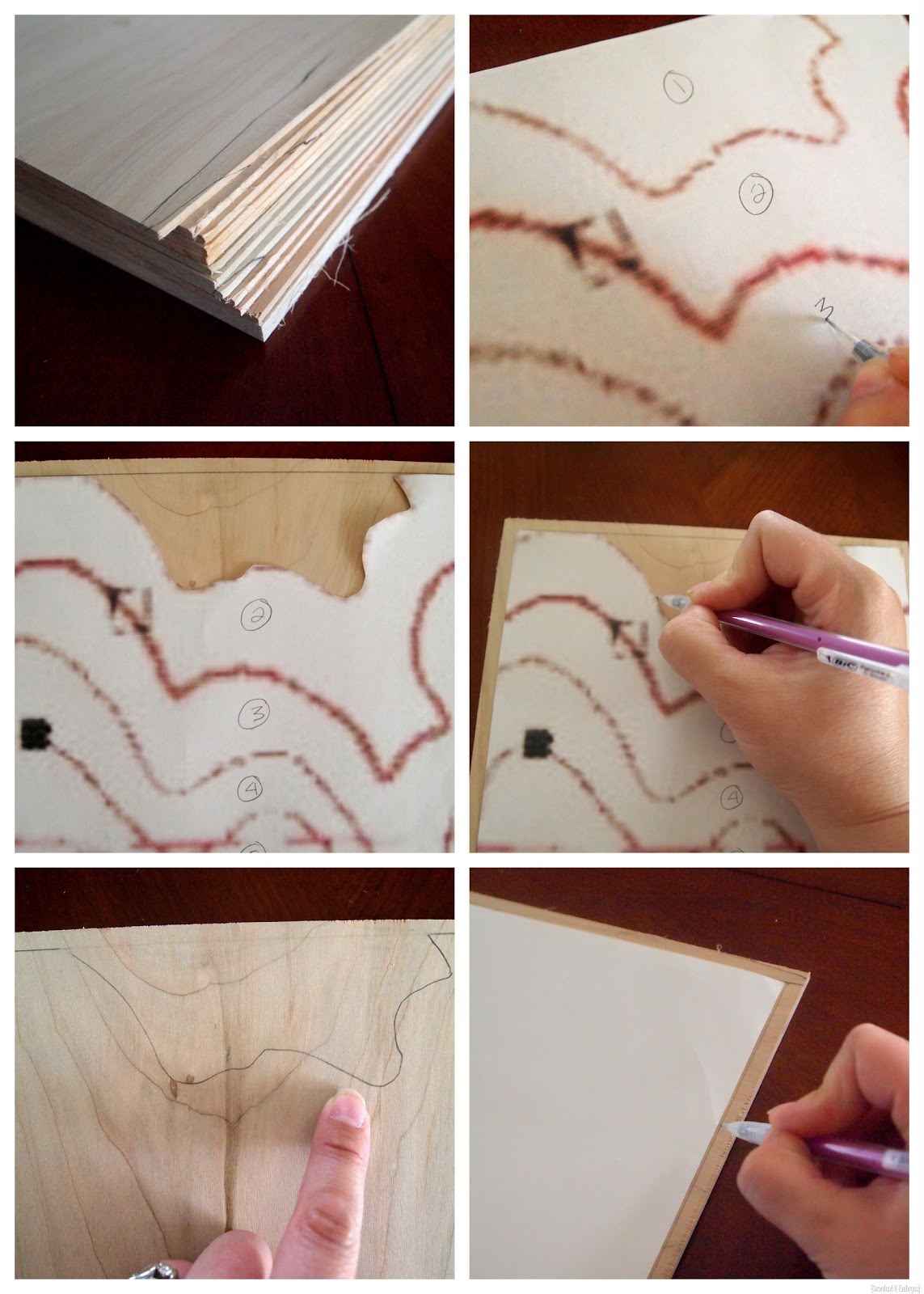[Topography%2520Artwork%2520%257BSawdust%2520and%2520Embryos%257D%255B8%255D.jpg]
