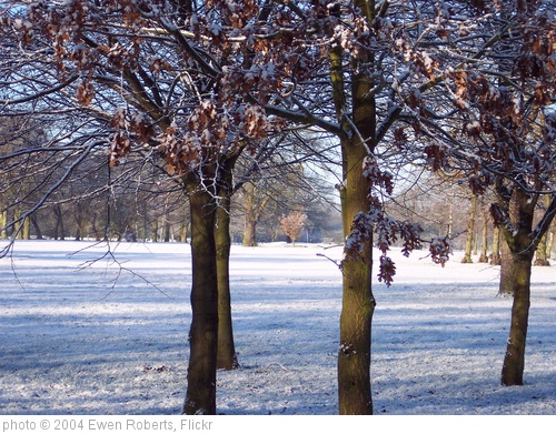 'Frozen Trees on the Golf course' photo (c) 2004, Ewen Roberts - license: http://creativecommons.org/licenses/by/2.0/