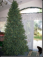 IMG_0011 IMG_0011