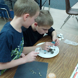 Dissecting Owl Pellets 2012