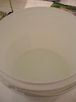 To bottom water a plant, choose a vessel that is big enough to accommodate the pot. It doesn't necessarily need to be this deep, but it must hold enough water to completely saturate the soil in the pot.