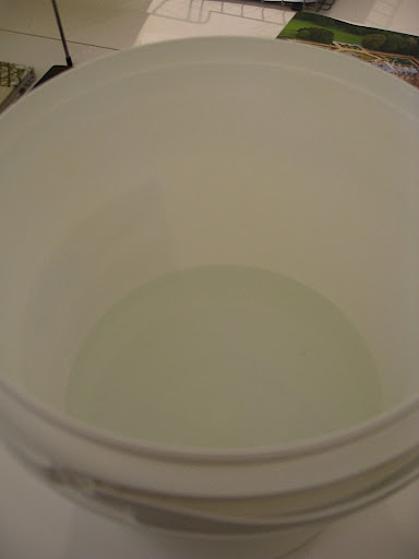 To bottom water a plant, choose a vessel that is big enough to accommodate the pot. It doesn't necessarily need to be this deep, but it must hold enough water to completely saturate the soil in the pot.
