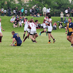 Rugby State Championship 2013_39.JPG