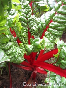 IMG_3404 IMG_3404