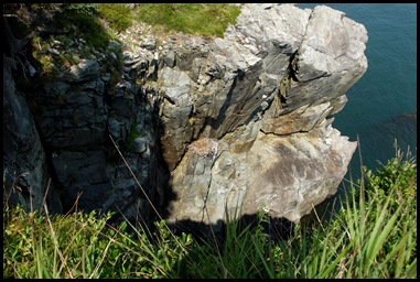 Quoddy Head Light 238