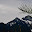 DSC_0155.jpg