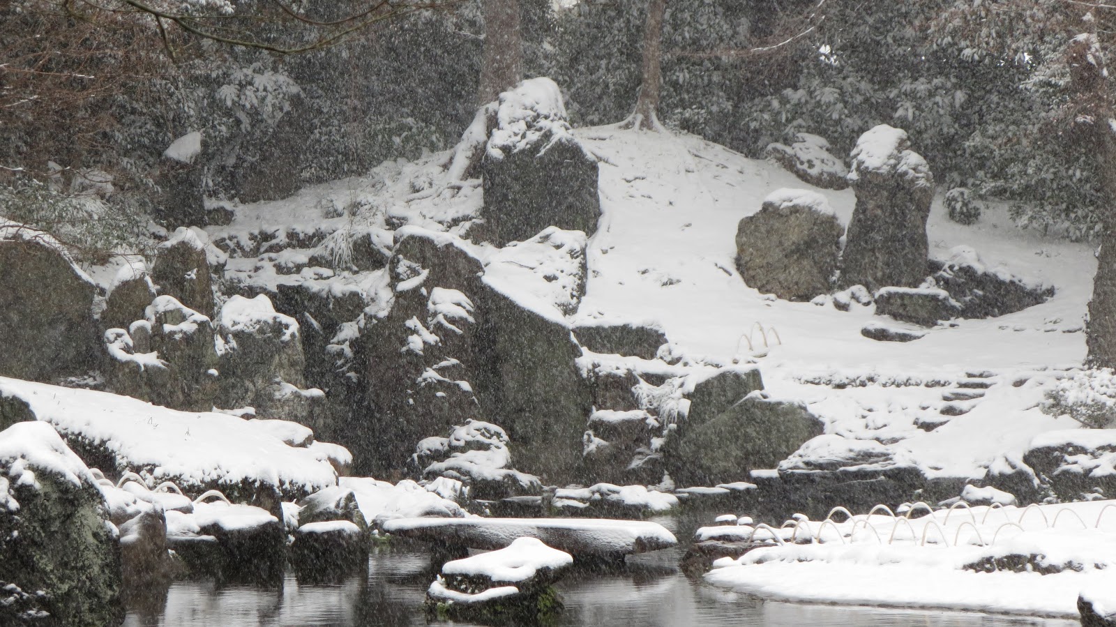 [IMG_0297%255B3%255D.jpg]