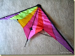 colorful kite