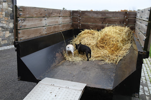 That's it, Sharkey.  We need to load the old hay onto this muck trailer.