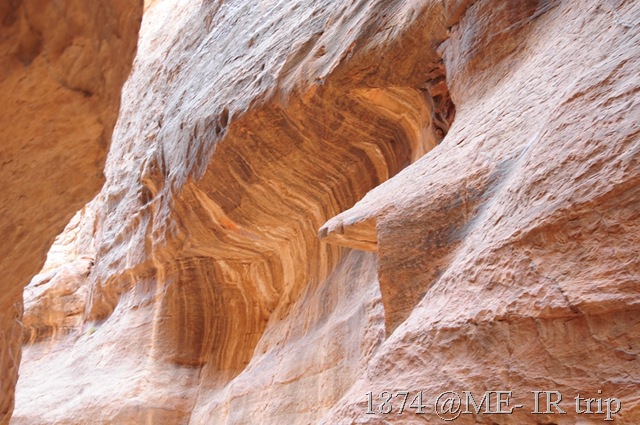 [IRS_6353%255B3%255D.jpg]