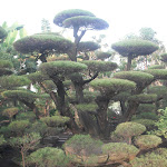 DSCF4311.JPG