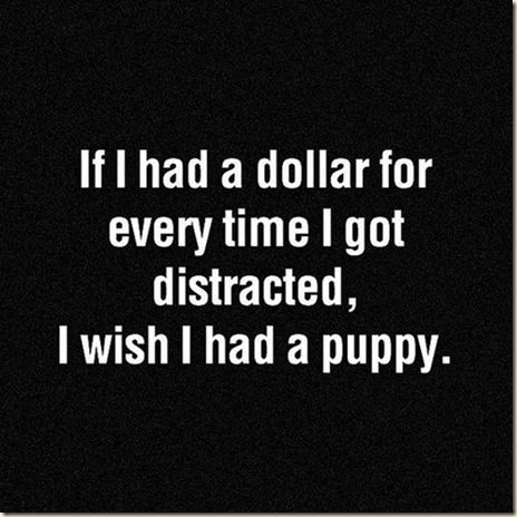 if I had a dollar