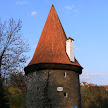 P1130129.JPG