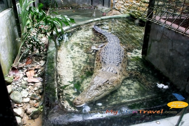 Langkawi Wildlife Park Langkawi Wildlife Park
