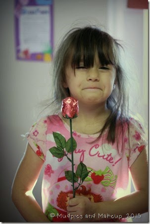 IMG_7286 IMG_7286
