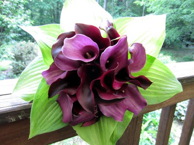 Purple calla lily bouquet