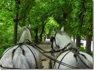 Vienna horseride_edited-1 Vienna horseride_edited-1