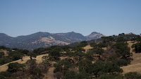 DSC03042.jpg