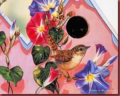 Grende_Janene_2000_SongBirds_Birds-00_wallcoo.com Grende_Janene_2000_SongBirds_Birds-00_wallcoo.com