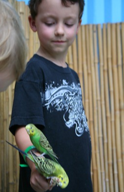 IMG_4711 IMG_4711