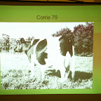 Stichting Historie Veehouderij
