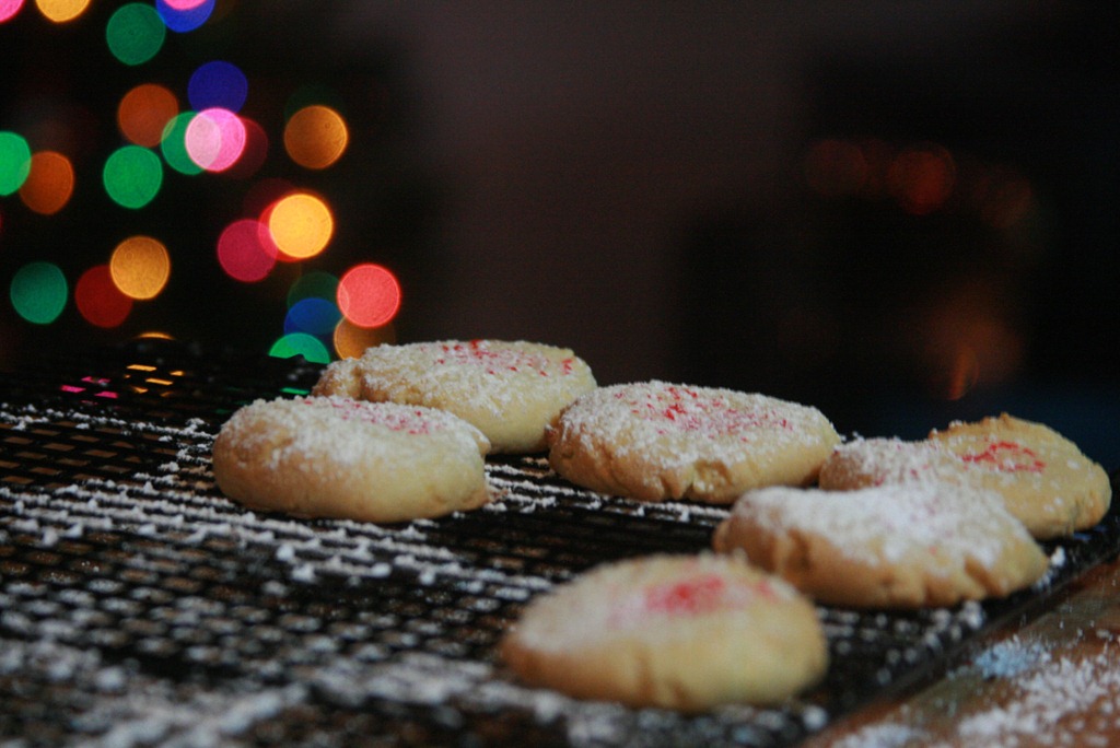 [IMG_2373%255B5%255D.jpg]