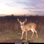 Cdy00055.JPG