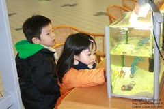 IMG_3101 IMG_3101