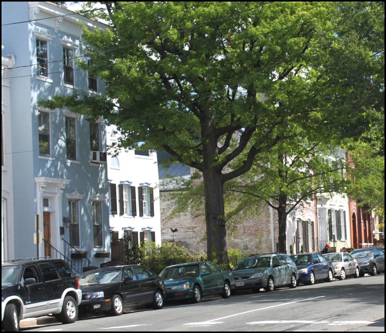 Old Town Alexandria 8 Old Town Alexandria 8
