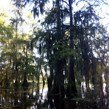 Sunrise Lake Martin Paddle - Sunrise%252520Lake%252520Martin%252520Paddle%252520032.jpg
