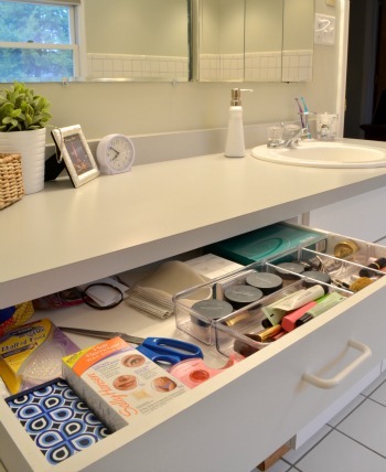 [HSR%2520Master%2520Bath%2520Organization%252010%255B5%255D.jpg]