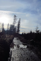 IMG_0456.JPG