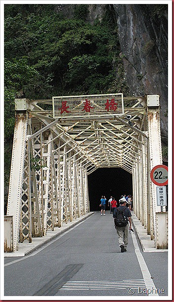 IMG_3584 IMG_3584