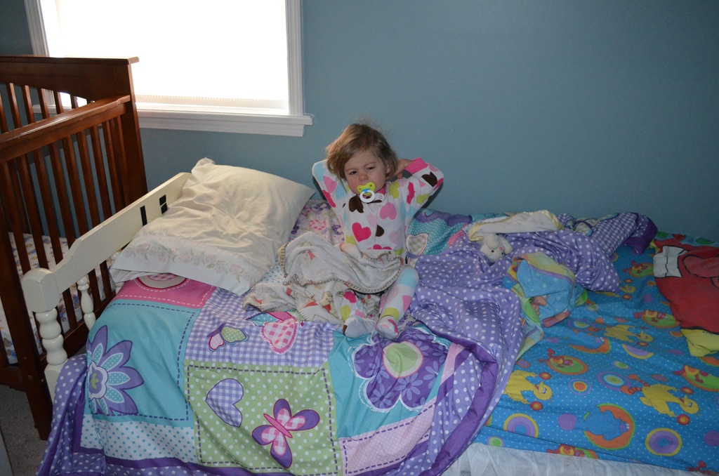 [DSC_0537%255B3%255D.jpg]