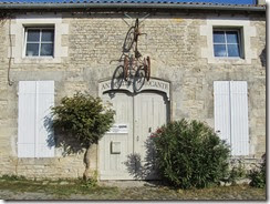 IMG_8554 IMG_8554