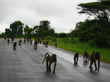 South Africa - 053.JPG