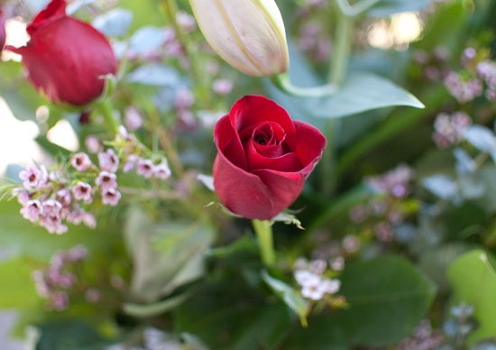 [DSC_4937%255B4%255D.jpg]