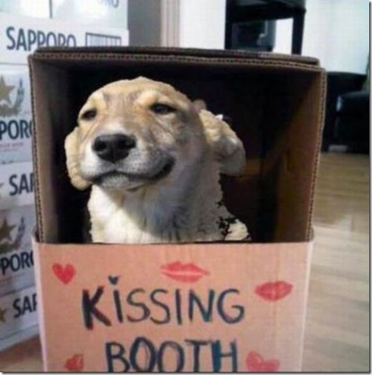 viral-picdump-pics-52