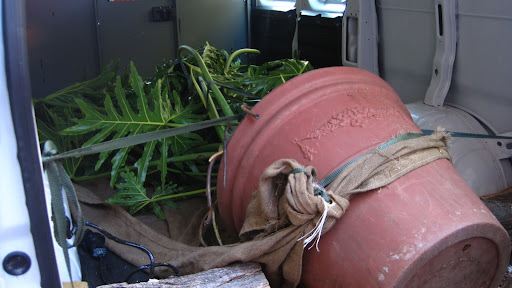 He had to strap it down in his delivery truck so that it would be safe during the 135 mile trip.