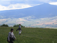 The hills are alive!