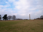 Column of Victory, Blenheim Palace