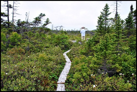 6 - Boot Cove - The Bog