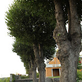 Im Rosengarten. Stockholm - 3 Tag 379.jpg