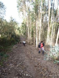 [P1140483%255B4%255D.jpg]