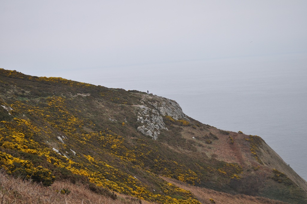 [DSC_02757.jpg]