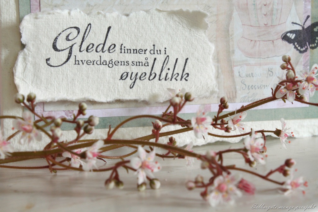 [IMG_1288%2520til%2520blogg%255B4%255D.jpg]