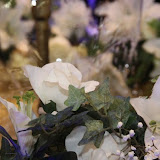 THE WEDDING EXPO 2010