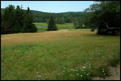 On Jordan Pond 191