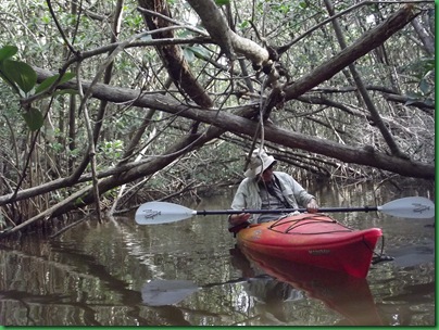 Coot Bay paddle 078