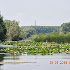 DSCN8264.JPG